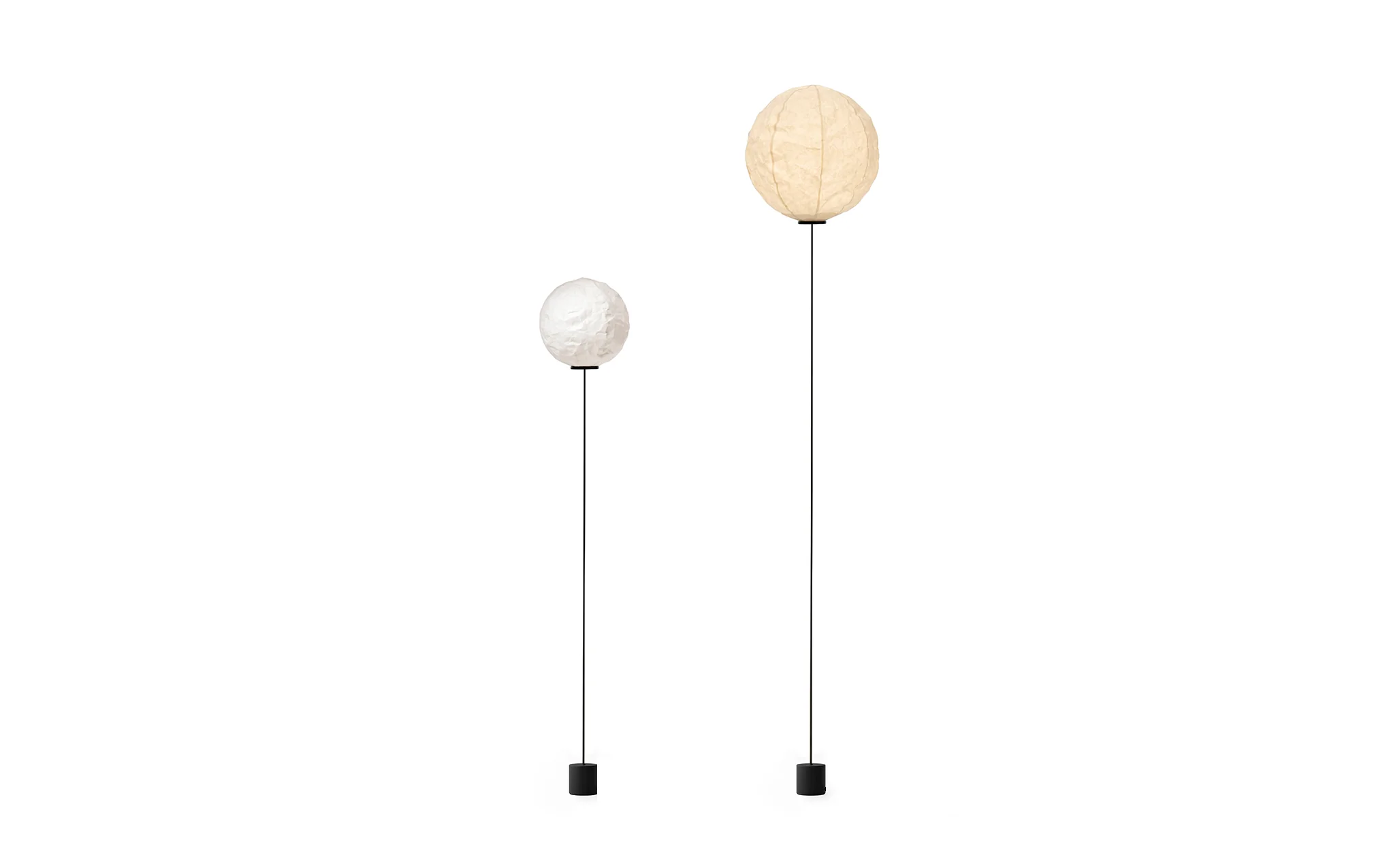 Cho floor light