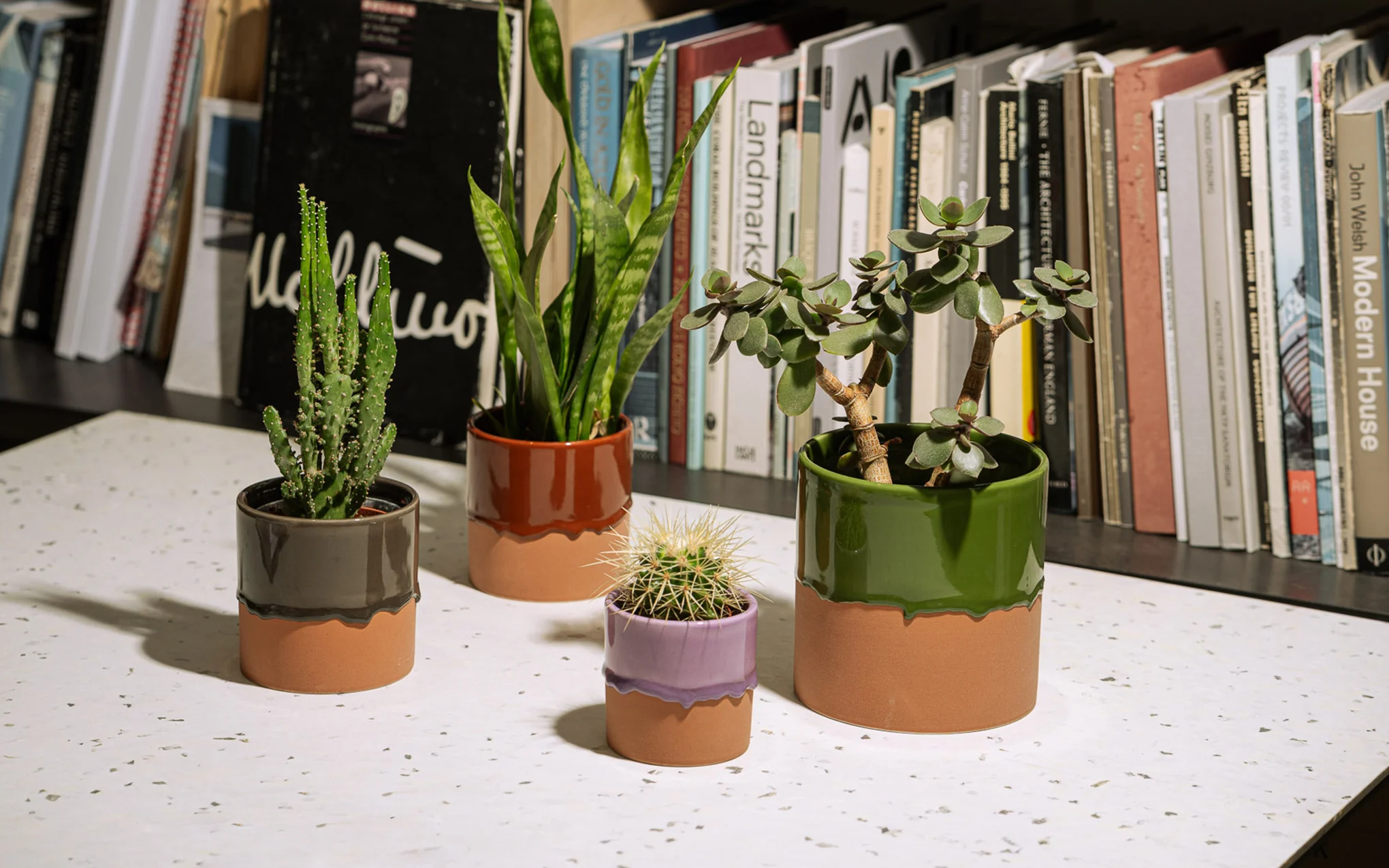 Drip ceramic planter - Image 7