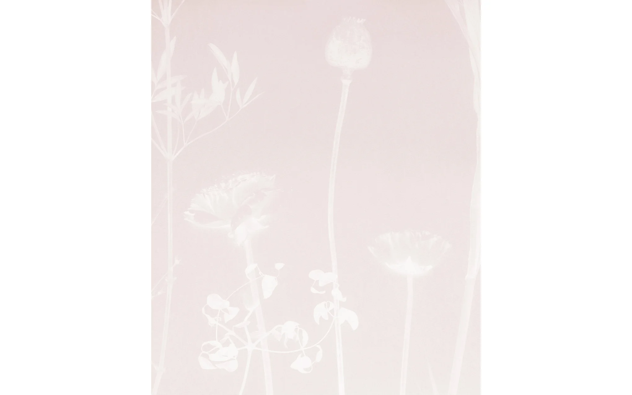 Flora wallpaper - Image 4