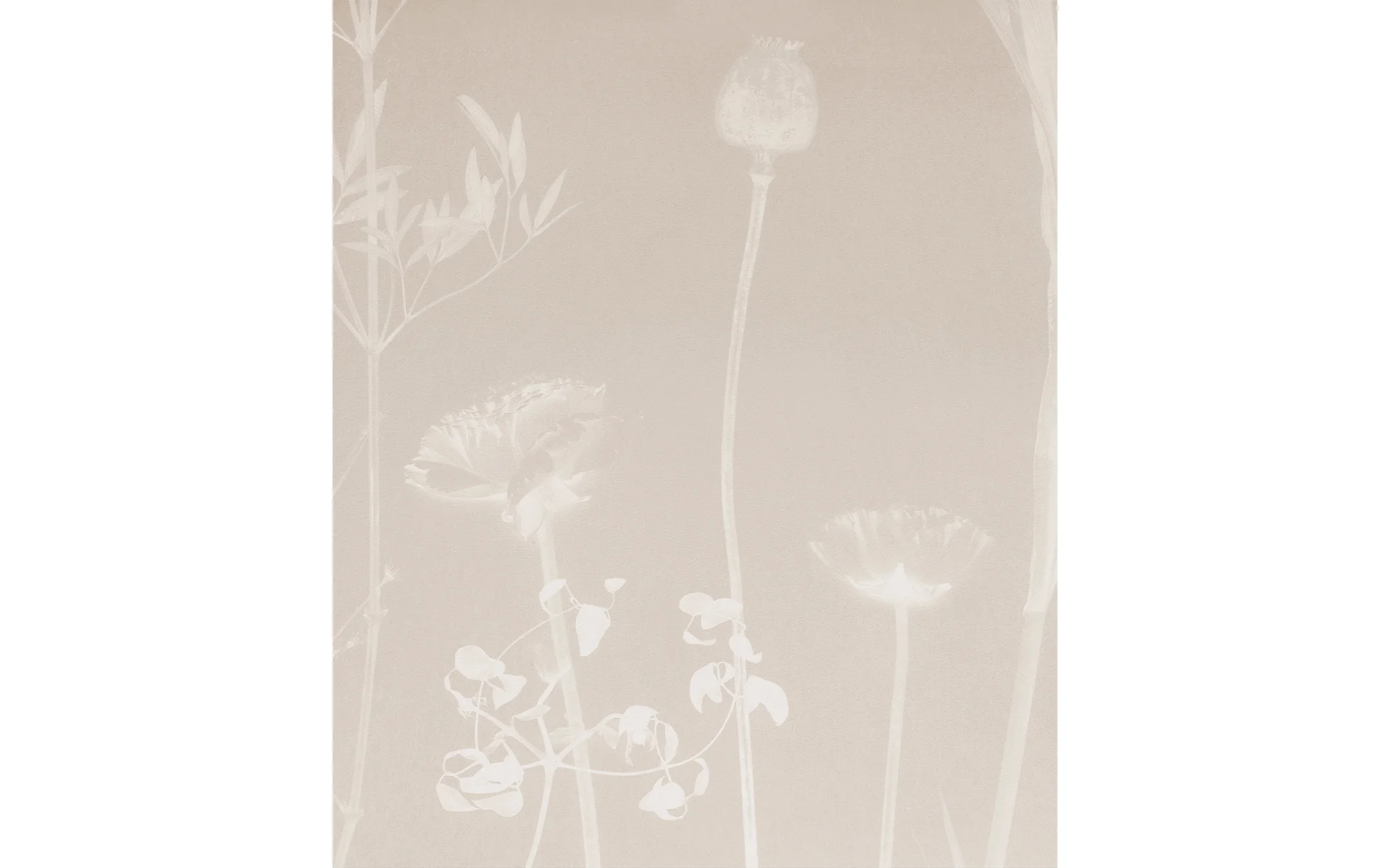 Flora wallpaper - Image 6