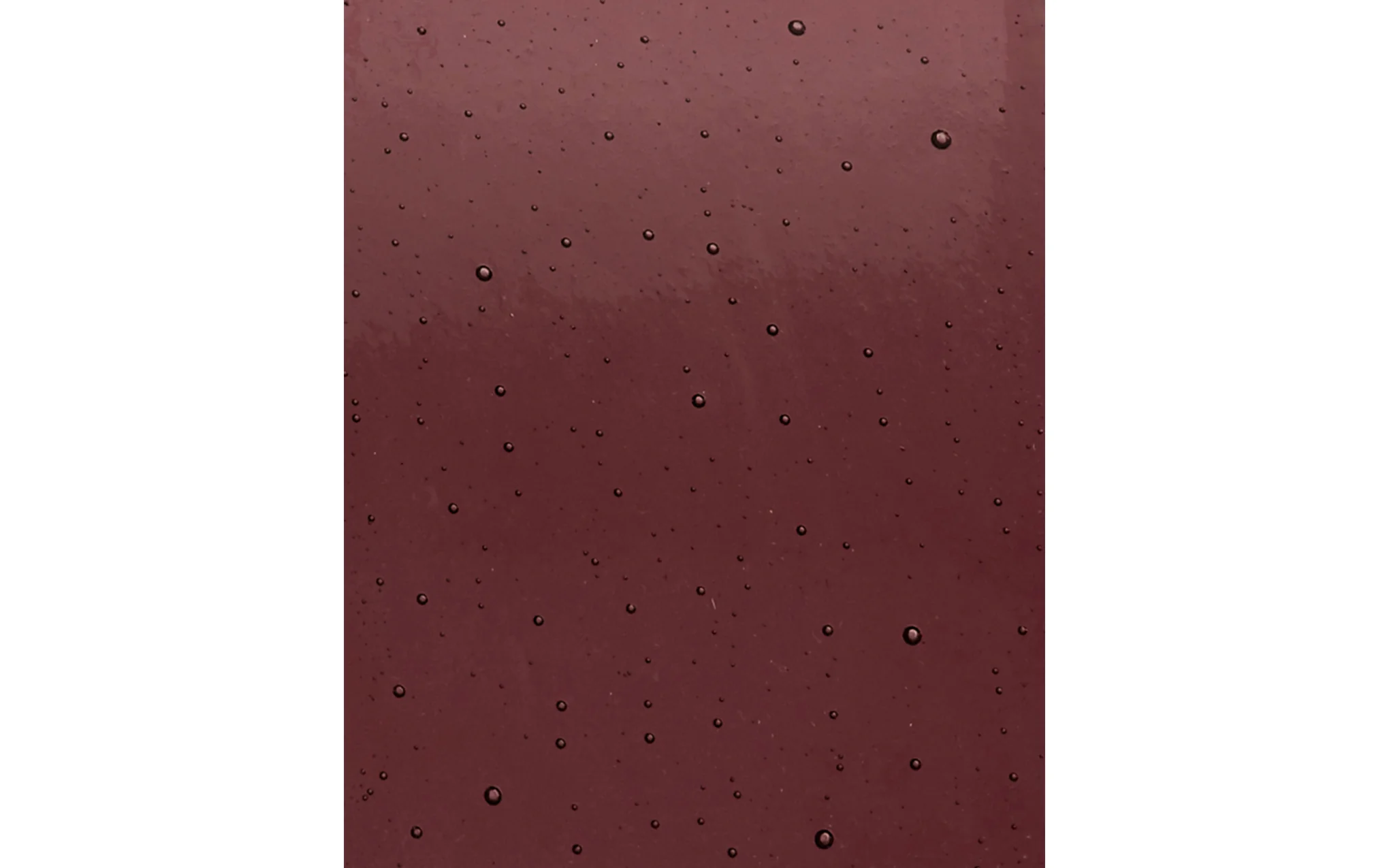 Palm single sconce - Image 6