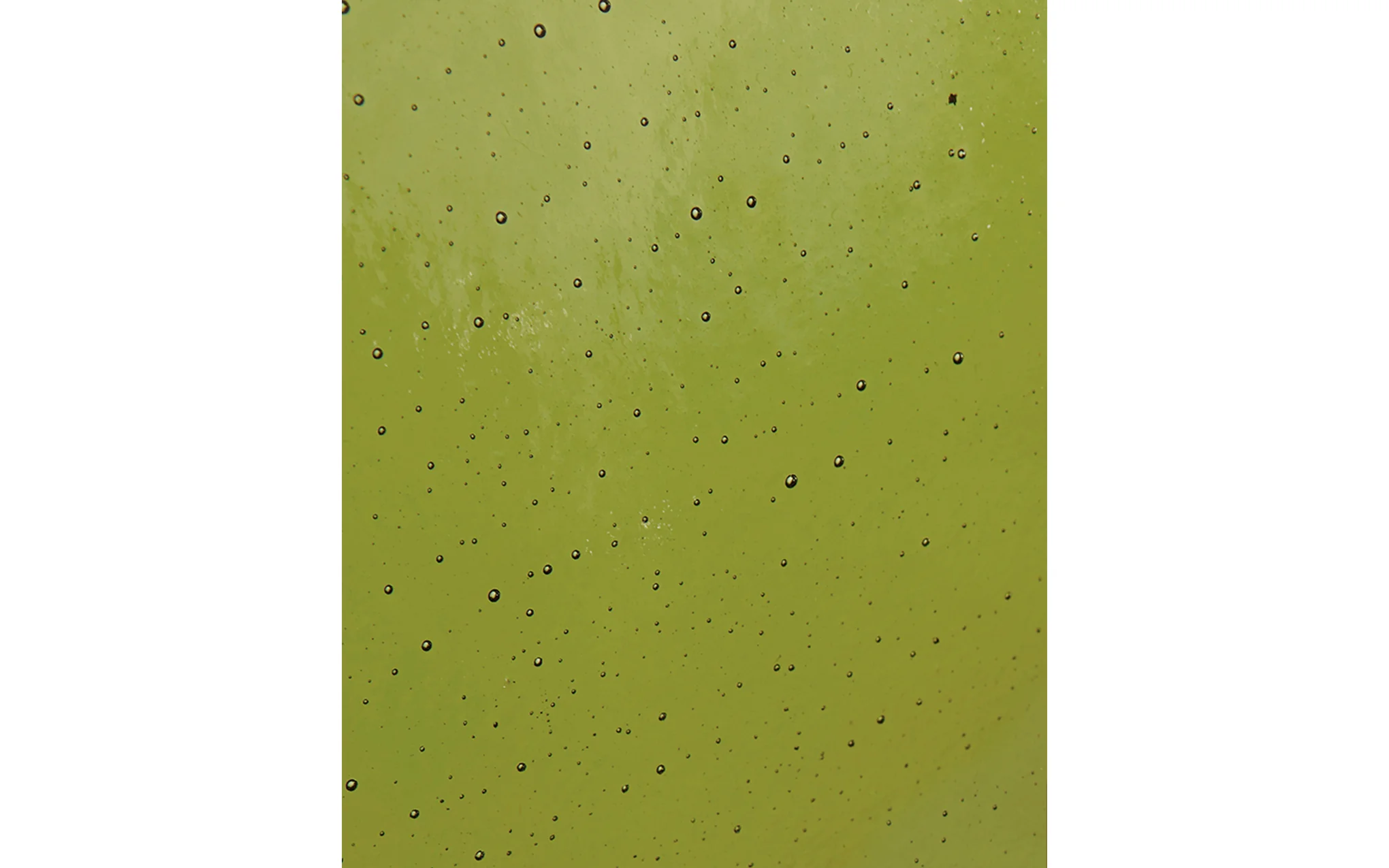 Palm table lamp - Image 7