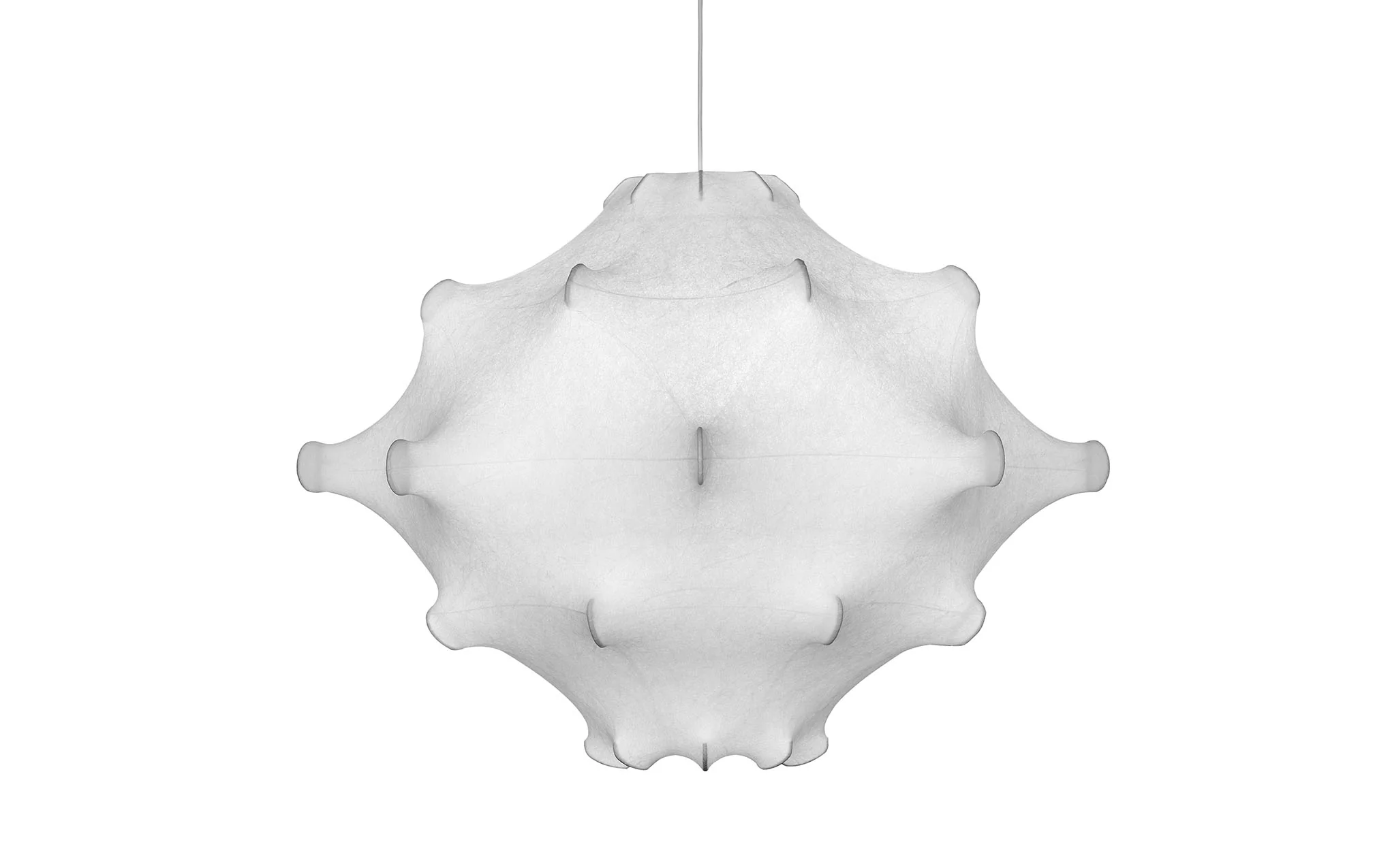 Taraxacum - Image 2