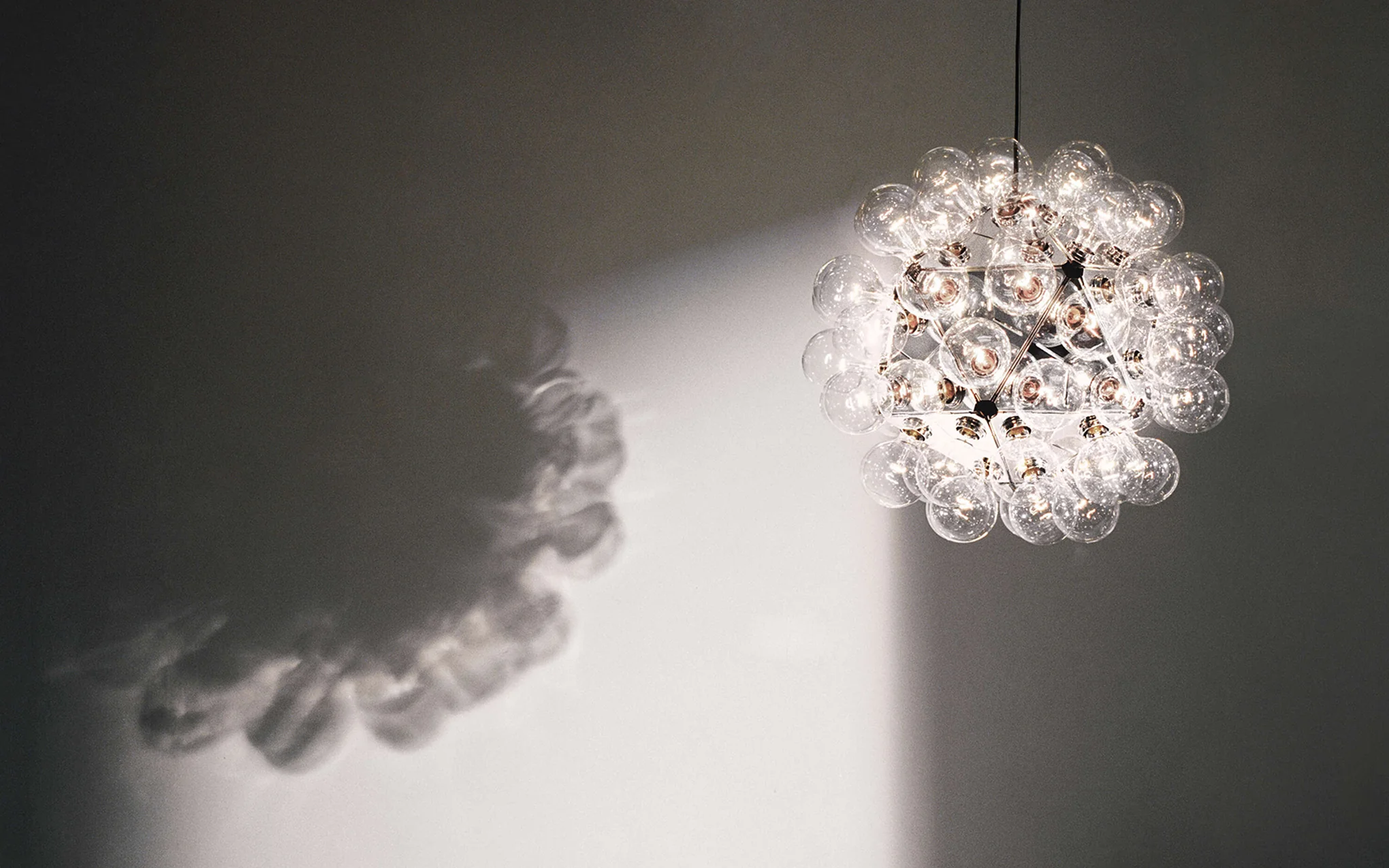 Taraxacum 88 suspension - Image 3