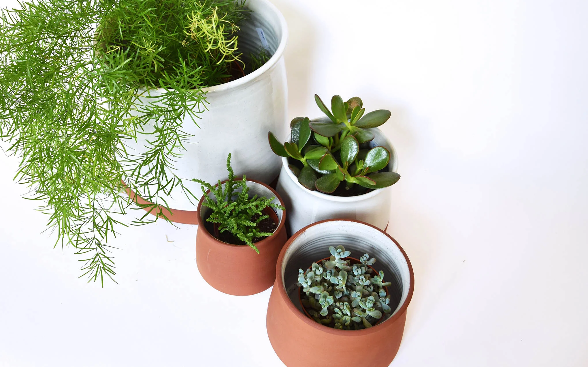 Terracotta plant pots - Image 8
